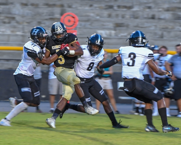 Huskies roll past Spiders