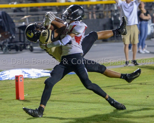 Spiders defeat Cardinals